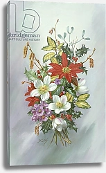 Постер Уильямс Альберт (совр) AB/97 Christmas Bouquet