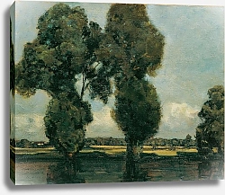 Постер Хёльцель Адольф Серебристый тополь