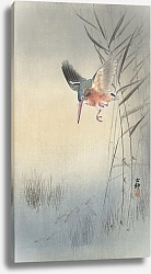 Постер Косон Охара Kingfisher hunting for fish