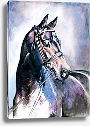 Постер Черный конь, акварель