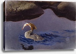 Постер Лильефорс Бруно Самка-Мергансер