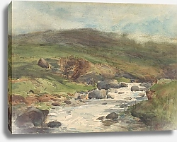 Постер Уолш Альфред Горный ручей, Кайкоура