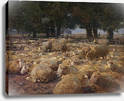 Постер Зюгеь Генрих Овечий парк