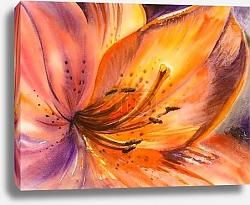 Постер Оранжевая лилия крупным планом, акварель