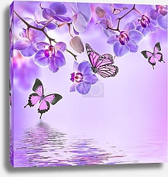 Постер Четыре бабочки и цветки орхидеи