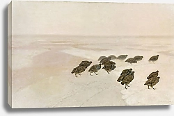 Постер Челмонский Юзеф Куропатки