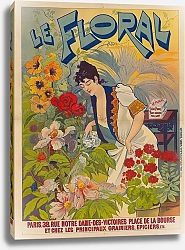 Постер Камис Le Floral