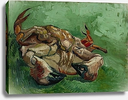 Постер Ван Гог Винсент (Vincent Van Gogh) A crab on its back