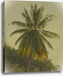 Постер Черч Фредерик Пальмы, Вест-Индия