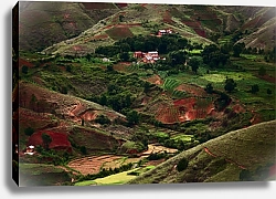 Постер Мадагаскарская ферма