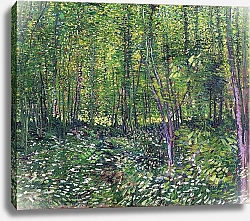 Постер Ван Гог Винсент (Vincent Van Gogh) Деревья и подлесок 2