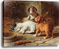 Постер Райхерт Карл Щенки Проснулись