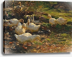 Постер Кестер Александр Утки в Брюнеле