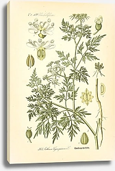 Постер Flora von Deutschland №4