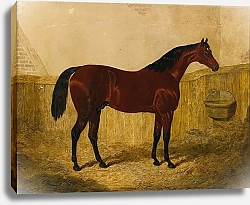 Постер Херринг Джон Эмилиус