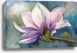 Постер Магнолия в цвету на ветке, акварель