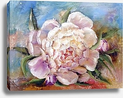Постер Нежный розовый пион с бутонами