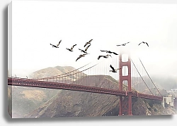 Постер Пеликаны на фоне моста