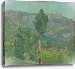 Постер Волд-Торн Олаф Вид из Сельйорда