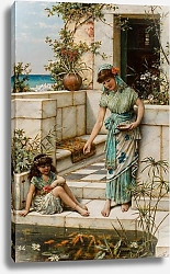 Постер Коулмен Уильям Кормление золотой рыбки