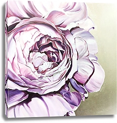 Постер Пион сиреневый