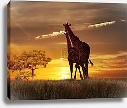 Постер Жирафы на закате 1