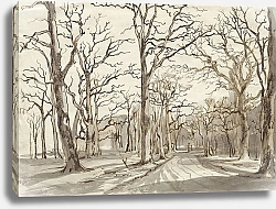 Постер Рейнхарт Йоханн A Woodland Path in Rosenthal in Winter
