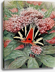 Постер Робер Поль-Андре Пестрая чешуя