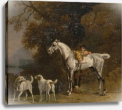 Постер Стаббс Джордж Studies for or after The third Duke of Richmond with the Charleton Hunt