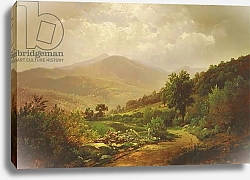 Постер Ричардс Уильям Bouquet Valley in the Adirondacks
