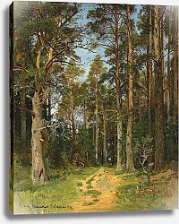 Постер Шишкин Иван Сиверская