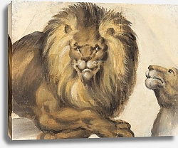 Постер Эмбергер Кристоф Передняя часть тела самца льва и голова самки льва