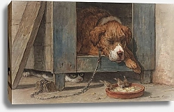 Постер Роннер-Нип Генриетта Kat bespiedt vogels bij een slapende hond