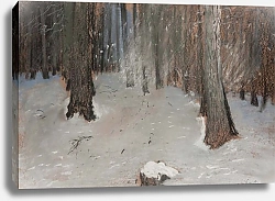 Постер Чолковский Леон Las zimą