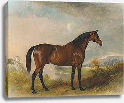 Постер Фернли Джон ‘Родольф’, охотник за бухтами, на фоне обширного ландшафта