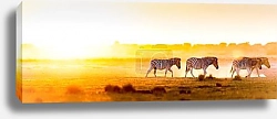 Постер Панорама с зебрами, бредущими на фоне заката