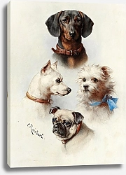 Постер Райхерт Карл Разношерстная команда