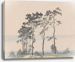 Постер Чолковский Леон Little Pine Trees No. I