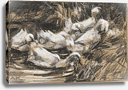 Постер Кестер Александр Шесть уток на камышовом берегу