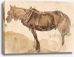 Постер Купер Томас Сидни Лошадь в сбруе, Видимая с близкого расстояния