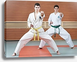 Постер Боевое искусство тхэквондо