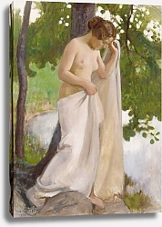 Постер Ярнефельт Ээро Простыня для купания