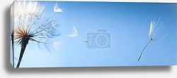 Постер Летающие семена одуванчика