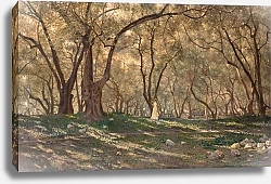 Постер Брукман  Генри Jeune Fille Sous Les Oliviers – Menton