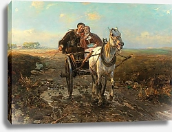 Постер Веруш-Ковальски Альфред The Polish Wedding Ride