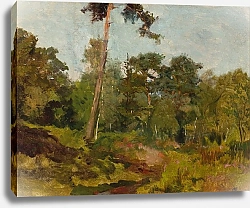 Постер Челмонский Юзеф Lasek Buloński