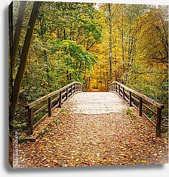 Постер Осенний лес 5