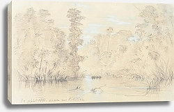 Постер Шевалье Николас Ручей близ Хокитики