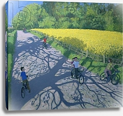 Постер Макара Эндрю (совр) Cyclists and Yellow Field, Kedleston, Derby