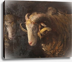 Постер Зюгеь Генрих Голова барана и овцы